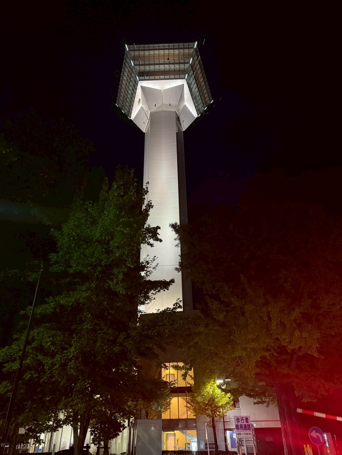 夜の五稜郭の景色(ライトアップ)