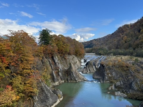 滝の上公園の紅葉5