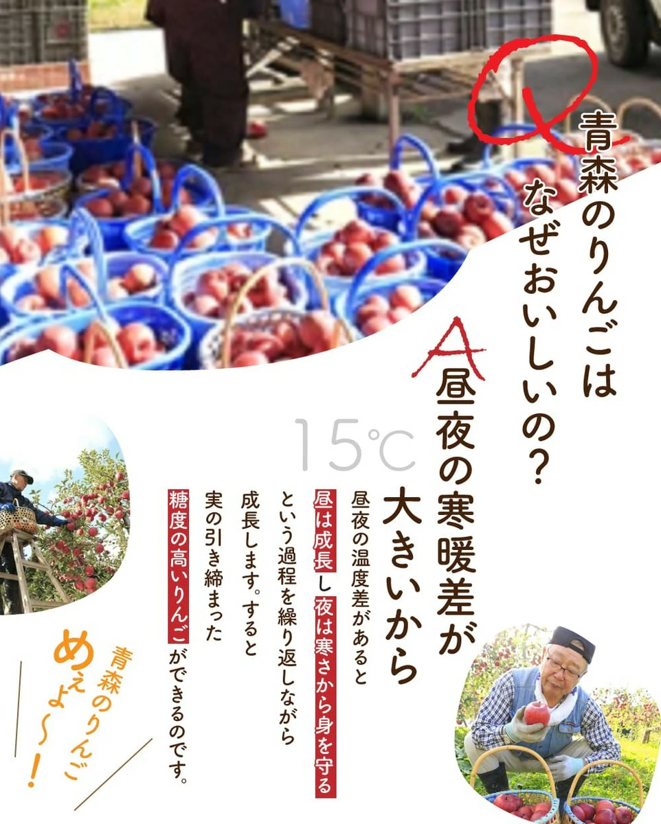 ツヤツヤに光るシナノゴールド